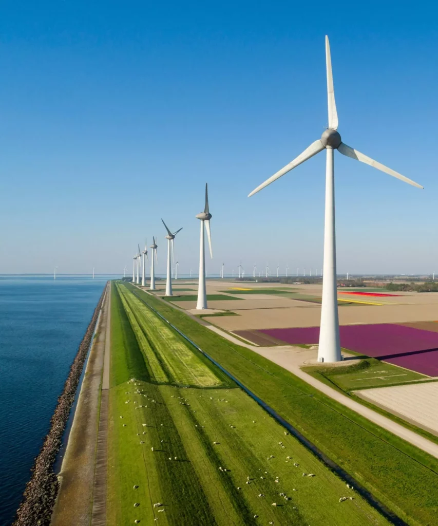 weilanden met windmolens